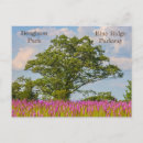 Recherche de étoile du nord cartes postales Nature