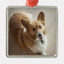 Recherche de vue courbe ornements À l'intérieur