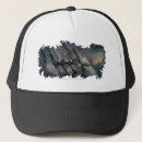Recherche de blog casquettes Le roi gobelin