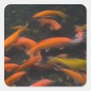 Recherche de shui de feng autocollants Chance