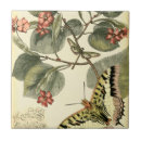Recherche de papillon carreaux Rouge