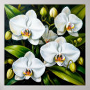 Recherche de maison blanche posters Pour elle