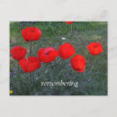 Recherche de pavots rouges cartes postales Pour eux