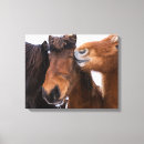 Recherche de poney impressions sur toile Martin zwick