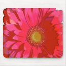 Recherche de gerbera rose tapis souris Marguerite