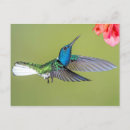 Recherche de jacobin cartes postales Colibri