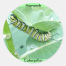 Recherche de mammifères autocollants Plante