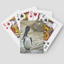 Recherche de pélicans jeux de cartes Animaux