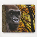 Recherche de gorille tapis souris Primates