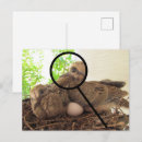 Recherche de agrandissement cartes postales Pour tous