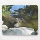 Recherche de ratons laveurs tapis souris Sauvage