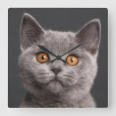 Recherche de mois horloges Animal