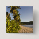 Recherche de seychelles badges Palmier