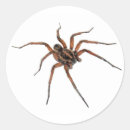 Recherche de spider autocollants Arachnide