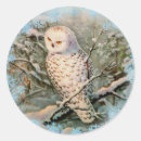 Recherche de snowy autocollants Faune