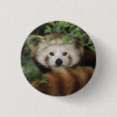 Recherche de panda rouge badges Porcelaine