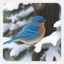 Recherche de bluebird autocollants Neige