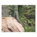Recherche de iguane art Reptile