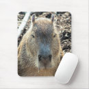 Recherche de rongeur tapis souris Animal sauvage