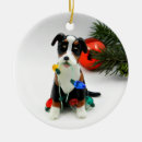 Recherche de montagne ornements Dogs