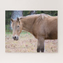 Recherche de cheval de course puzzles Poney