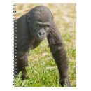 Recherche de primates carnets Faune