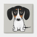 Recherche de compagnie magnets Chien