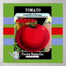 Recherche de tomatoes posters Garden