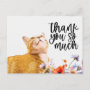 Recherche de cul vœux cartes Chat