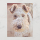 Recherche de types cartes postales Mignon