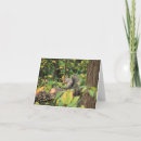 Recherche de consommation vœux cartes Arbre