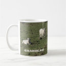 Recherche de veaux tasses Bétail