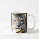 Recherche de de léopard de neige tasses Animaux