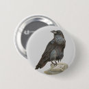 Recherche de corbeau badges Faune