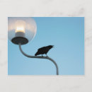 Recherche de lumière noire cartes postales Lumineux