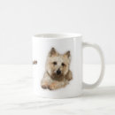 Recherche de cairn tasses Animaux familiers