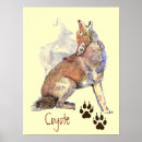 Recherche de coyote posters Nature