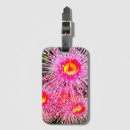 Recherche de arbre de gomme accessoires Coloré