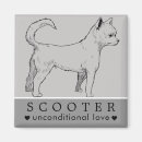 Recherche de compagnon animaux Dogs