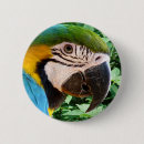 Recherche de perroquet bleu badges Oiseau