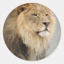 Recherche de roi lion autocollants Animal sauvage