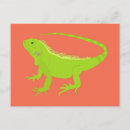 Recherche de iguane cartes postales Vert
