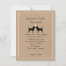 Recherche de chihuahua invitations Animaux de compagnie