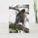 Recherche de merle vœux cartes Oiseau