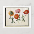 Recherche de fleurs 19ème cartes postales Siècle