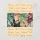 Recherche de saison cartes postales Sud