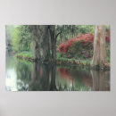 Recherche de marécage posters Usa