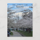 Recherche de beller cartes postales Rose