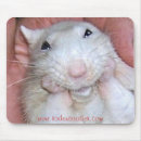 Recherche de rongeurs tapis souris Animal familier