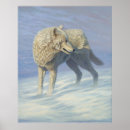 Recherche de regard de loup posters Nature